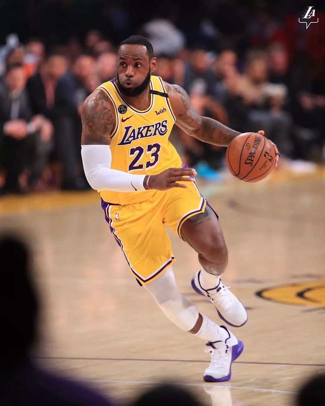 TyC名记：皇马已经告知尼科-帕斯，他们想在冬窗将其回购（TyC记者：皇马已通知尼科-帕斯，计划在冬窗回购他）